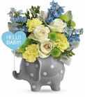 Hello Sweet Baby Cottage Florist Lakeland Fl 33813 Premium Flowers lakeland